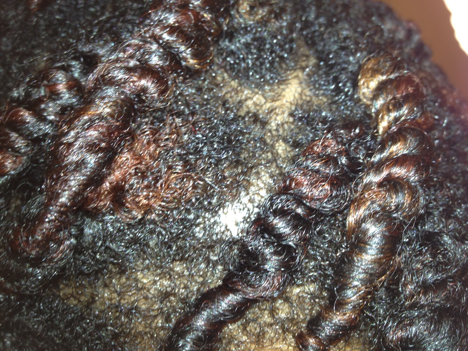 Curl by Curl